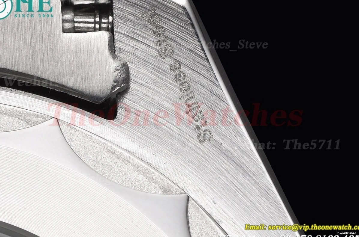 GDF Black 43mm 600m SS Seamaster SS Stk MY8215 0306